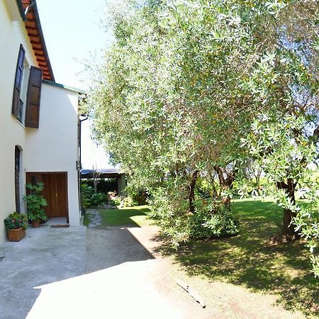 Casa Romana Viareggio Dış mekan fotoğraf