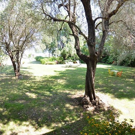 Casa Romana Viareggio Dış mekan fotoğraf