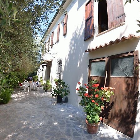 Casa Romana Viareggio Dış mekan fotoğraf