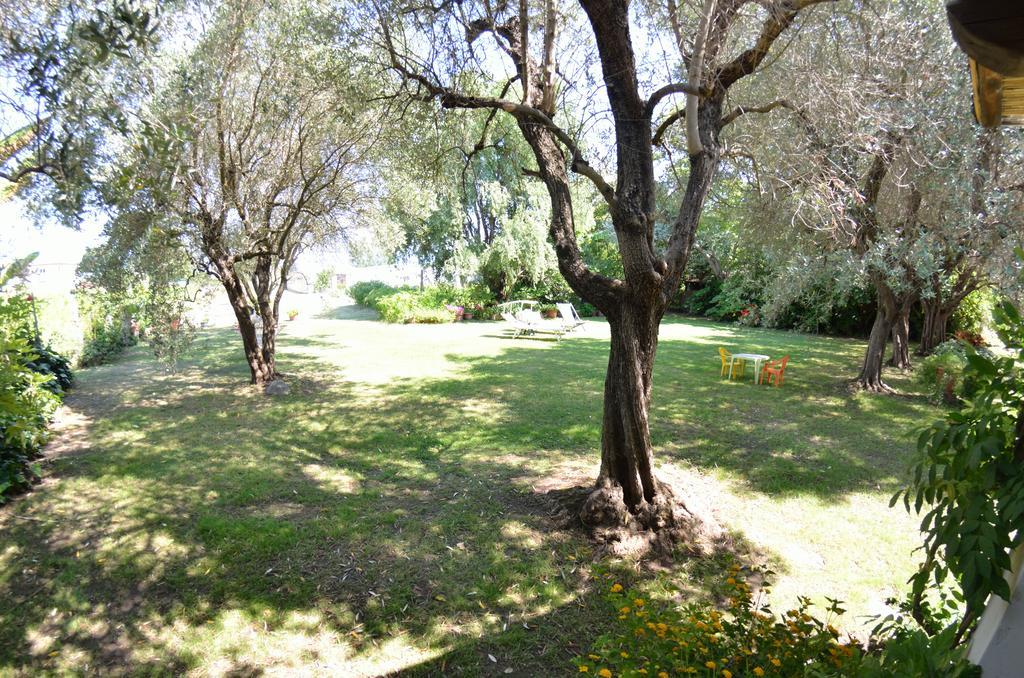 Casa Romana Viareggio Dış mekan fotoğraf