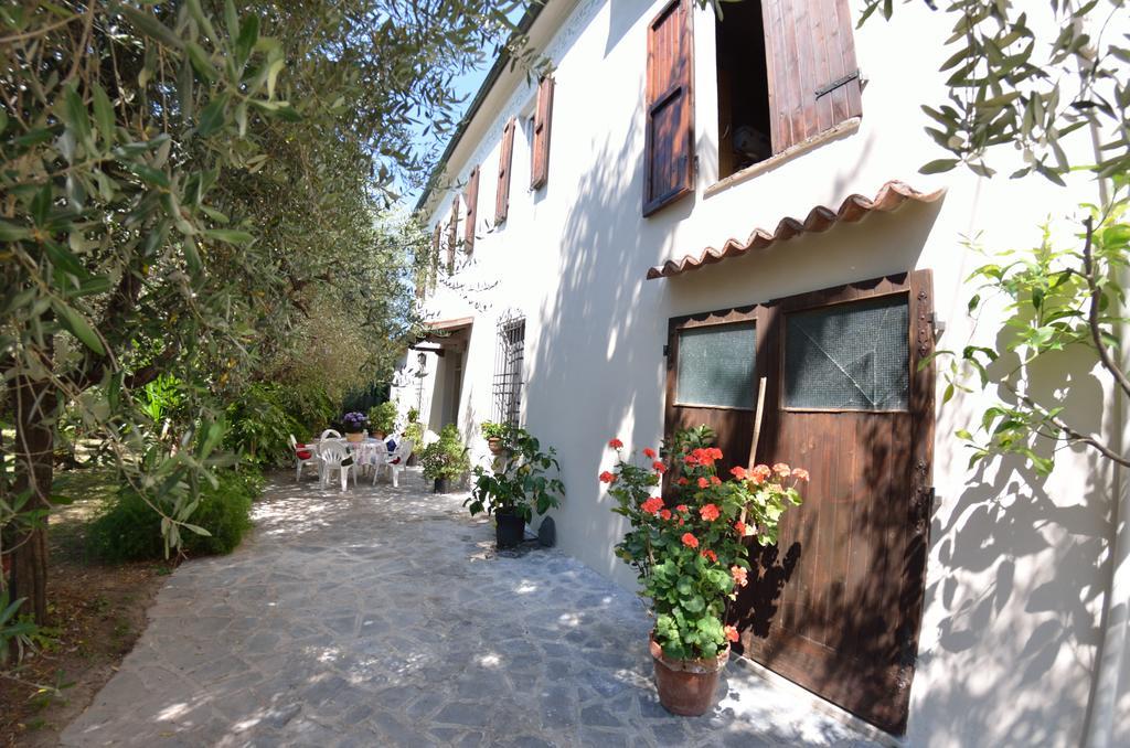 Casa Romana Viareggio Dış mekan fotoğraf