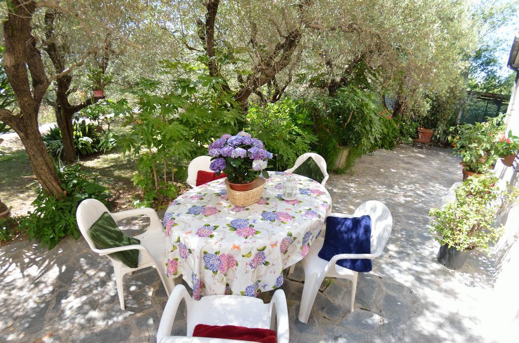Casa Romana Viareggio Dış mekan fotoğraf