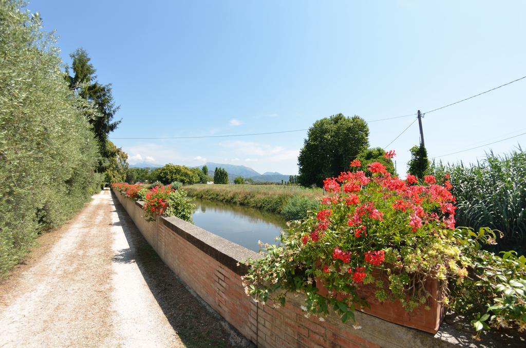 Casa Romana Viareggio Dış mekan fotoğraf