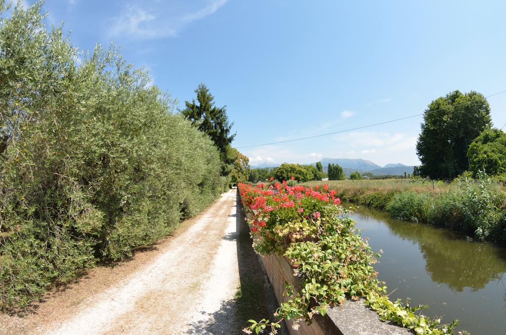 Casa Romana Viareggio Dış mekan fotoğraf