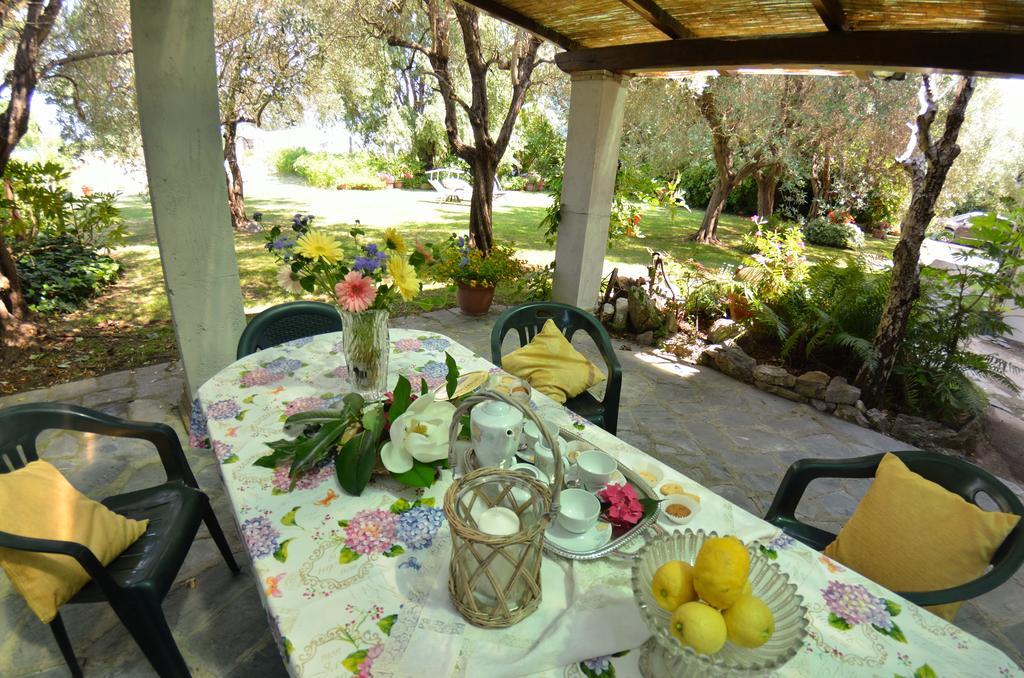 Casa Romana Viareggio Dış mekan fotoğraf