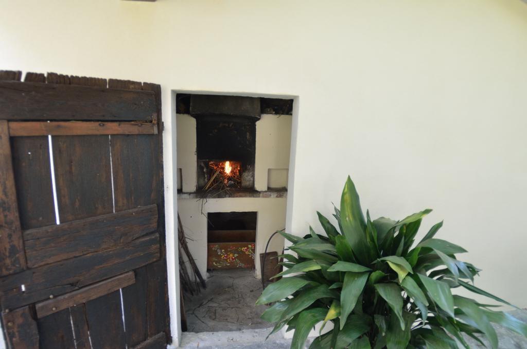 Casa Romana Viareggio Dış mekan fotoğraf